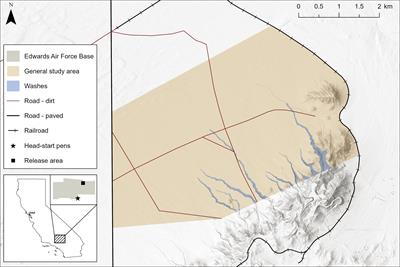 Variations in climate drive behavior and survival of small desert tortoises